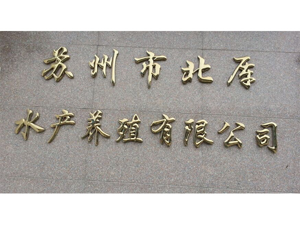 精工球面(miàn)字1